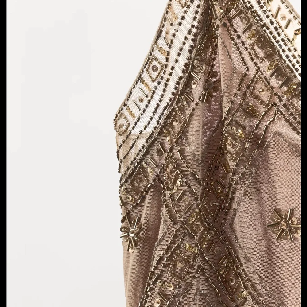 Zara limited edition EMBROIDERED TULLE Mini DRESS - Picture 15 of 15